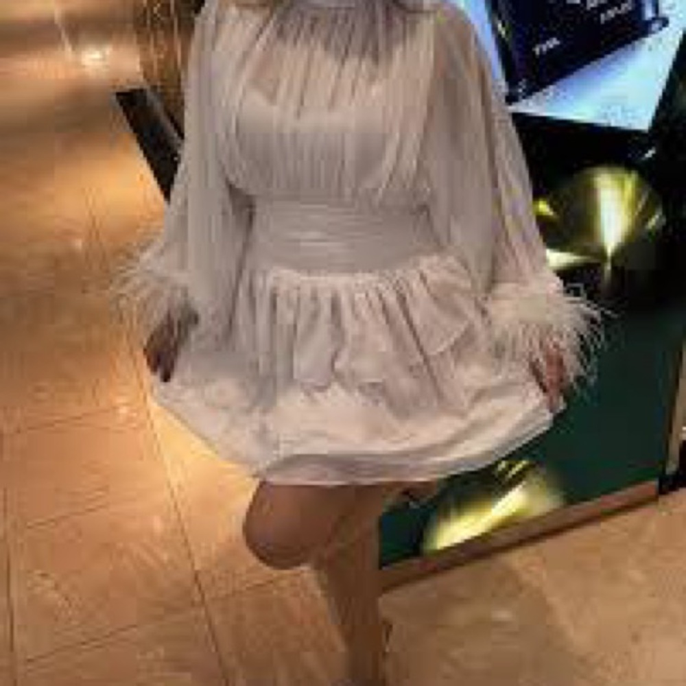 Loves A Metallic Chiffon Feather Trim Ruched Dress - STUNNING! MSPR 159 - Picture 9 of 9